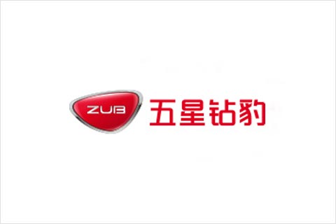 9761国际游戏电池合作伙伴 五星钻豹电动车
